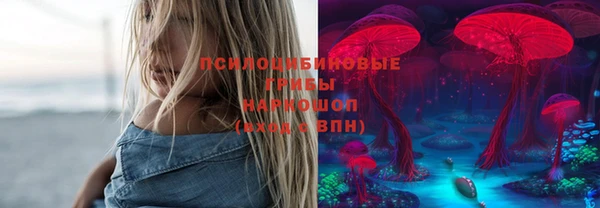 прущие крисы Верея