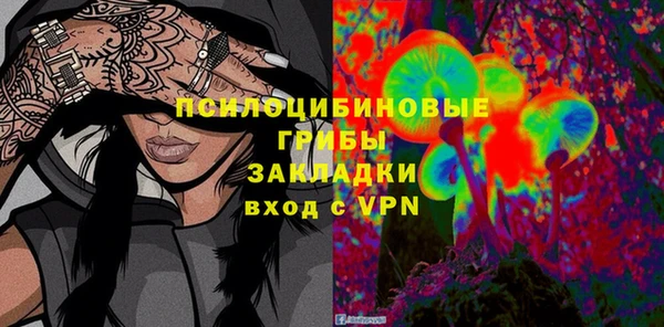 прущие крисы Верея