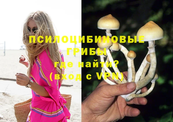 прущие крисы Верея