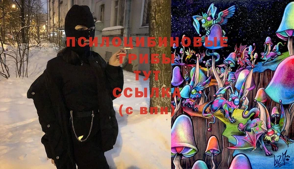 прущие крисы Верея