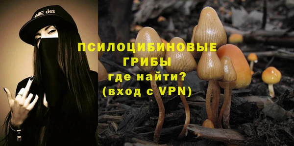 прущие крисы Верея